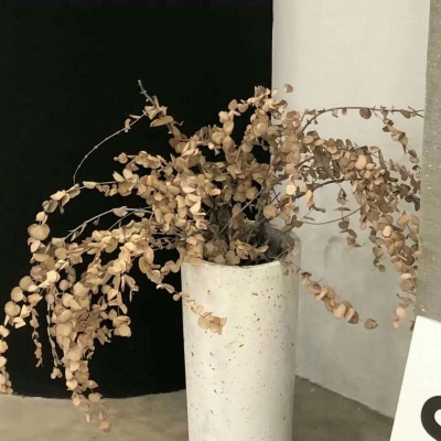 兽设雨夜场景创作兽圈群